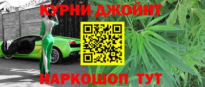 мяу мяу мука Аргун