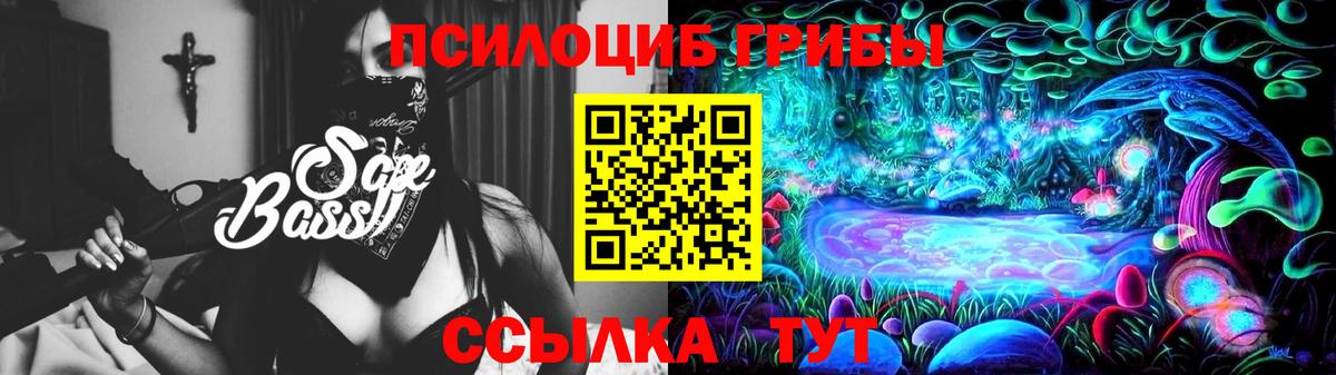 Галлюциногенные грибы Cubensis  Вход с VPN  Балахна 