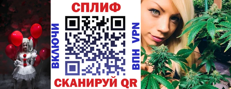MEGA   Балахна  МАРИХУАНА сатива 